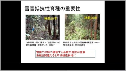 渡部部長のスライド
