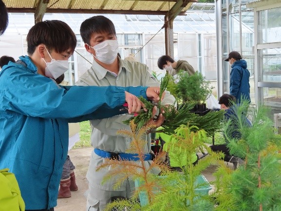 写真5グループ毎に担当する職員が、つぎ穂の作成を指導