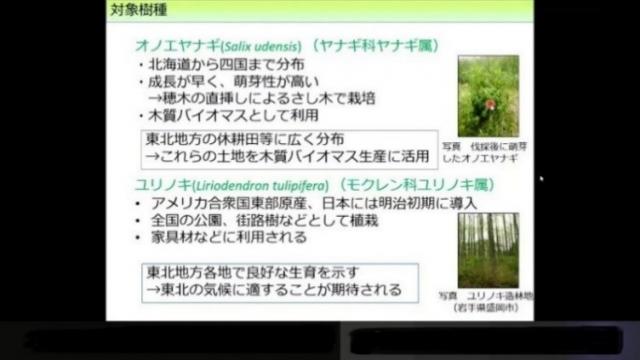 矢野主任研究員の発表