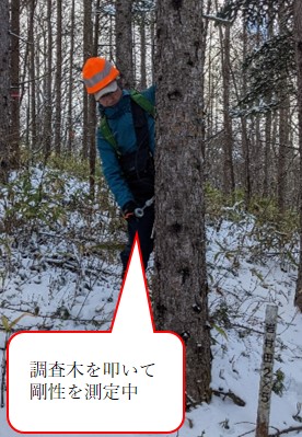 写真2材質調査