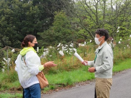 人工交配手法の説明