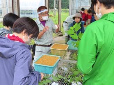 写真3グループ毎に担当する職員がさし付け方法について指導