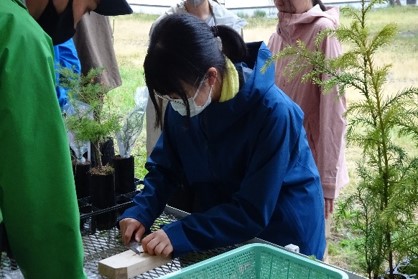 写真5グループ毎に担当する職員が、つぎ穂の作成を指導