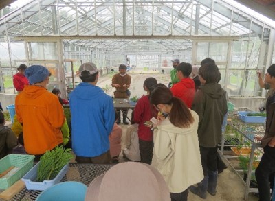 写真4つぎ木の実技指導