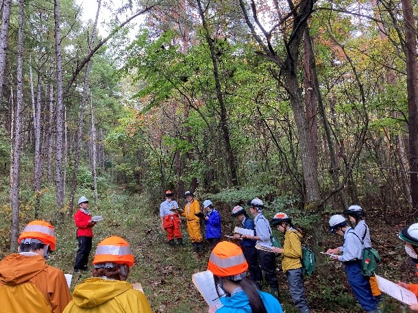 関長44号カラマツ検定林