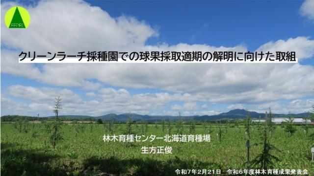 生方研究専門員の「クリーンラーチ採種園での球果採取適期の解明に向けた取組」
