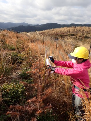 写真2調査時の様子