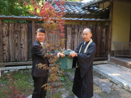 「教林坊のモミジ」後継樹を教林坊住職に手渡し