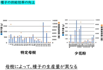 「徳島県の実生スギコンテナ苗安定供給に向けた取組」