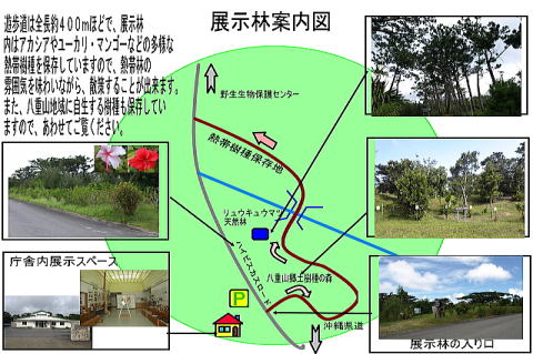 展示林案内図