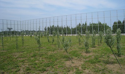 kakuri2008