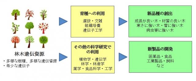 遺伝資源とその利用