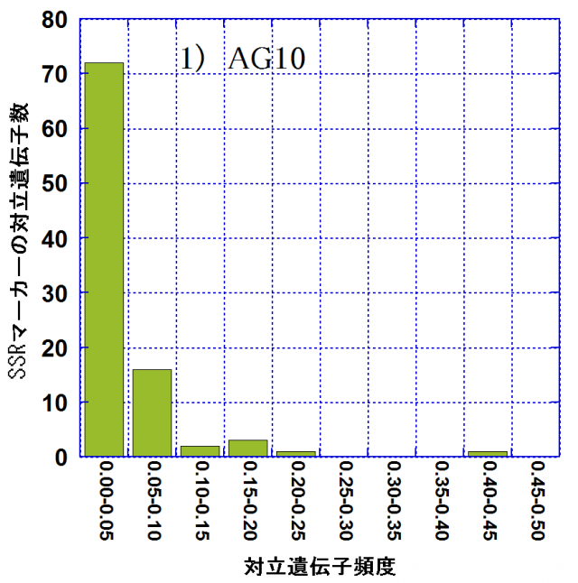 親林分（AG10）