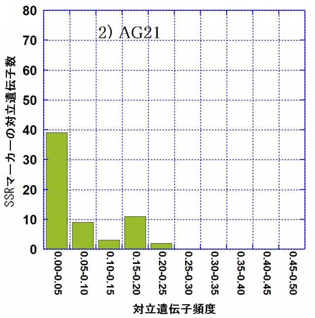 後継林分（AG21）