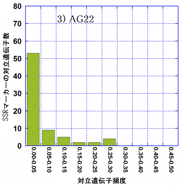 後継林分（AG22）