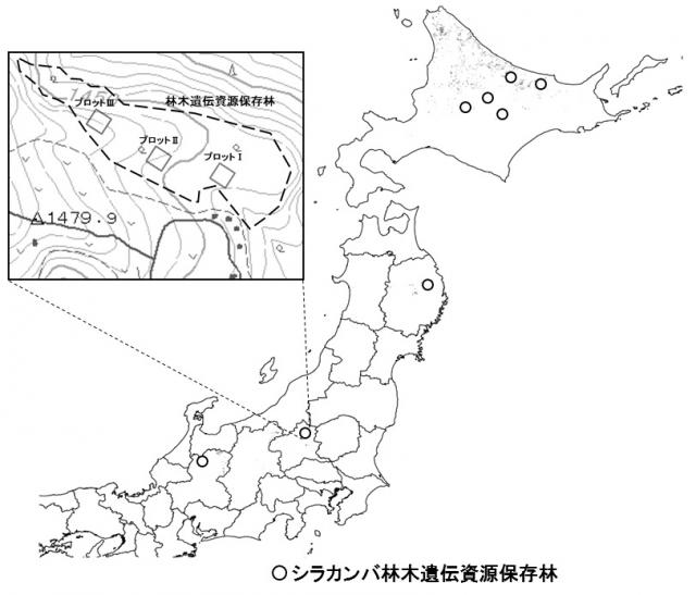 2012_No3_illust-1