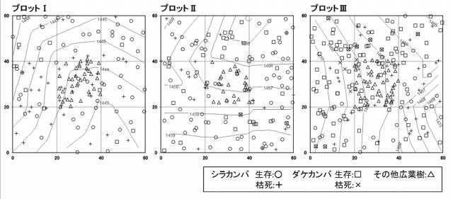 図-2　調査プロット内に出現した胸高直径5cm以上の立木の位置図