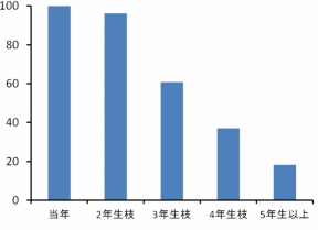 2013-2_no3_graph1