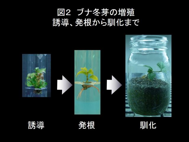 2013-4_no2_photo2