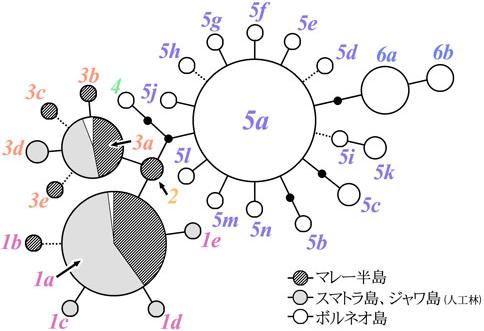 2013-3_no8_figure2_small
