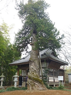 no.2-13