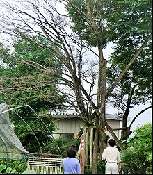 no.2-3