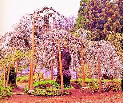 no.2-5