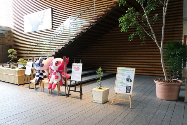 エリートツリー展示の様子