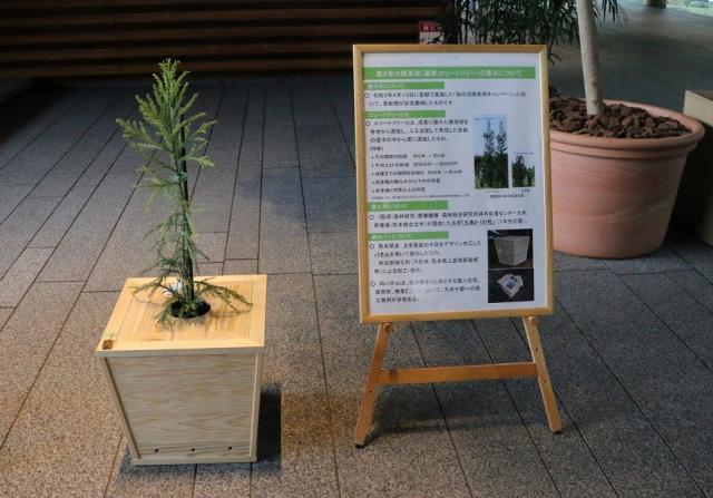 エリートツリー展示の様子