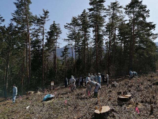 植栽風景