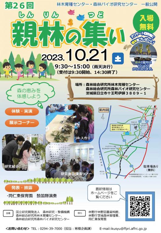 チラシ表