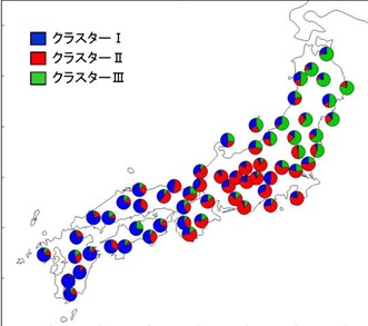 アカマツ天然林における核DNAの地理的変異