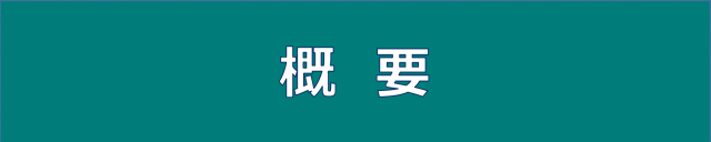 概要