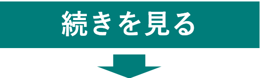 続きを見る