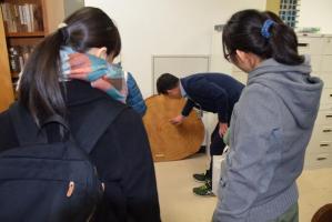 もみの木の年輪の変遷説明