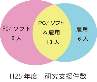 2013研究支援件数