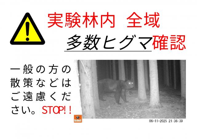 attention_higuma