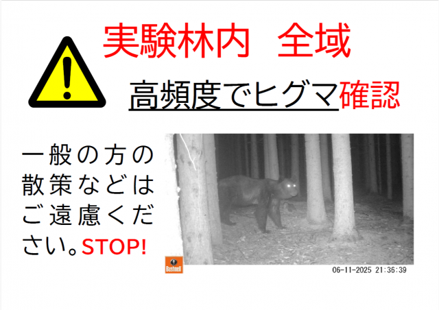 attention_higuma2