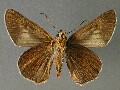 b_aquilina-e_2