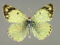 c_erate-e_1