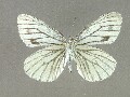 p_melete-e_2