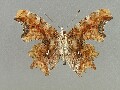 p_c-album_2