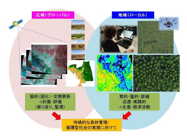 北方林G-2