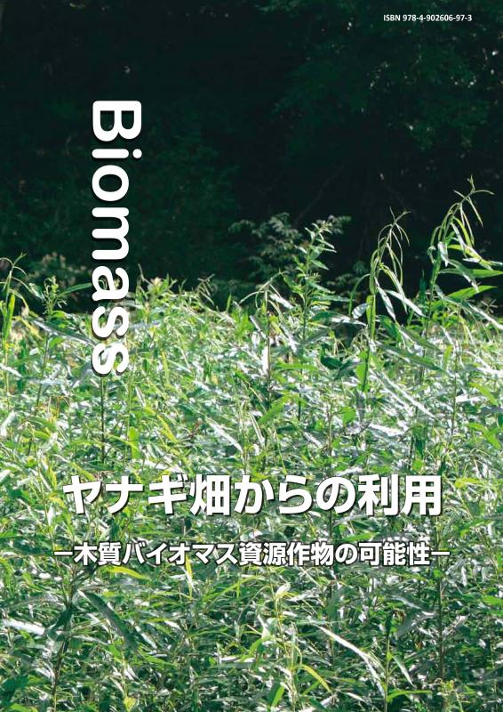 H22バイオマス_表紙