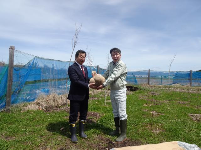 gyoumushoukai_nijukkenndouronosakura.