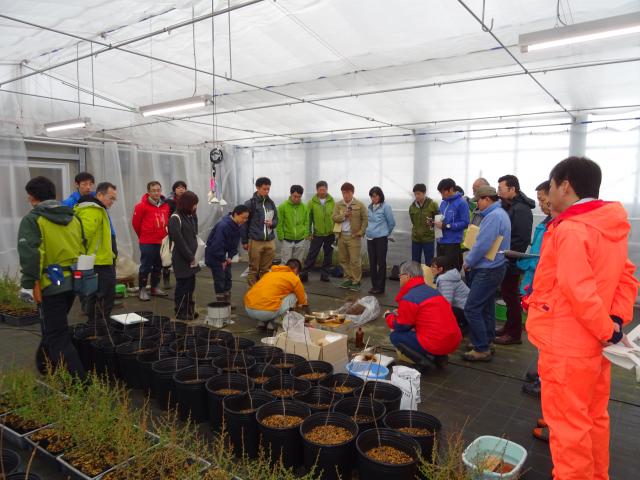 H29林木育種技術講習会01