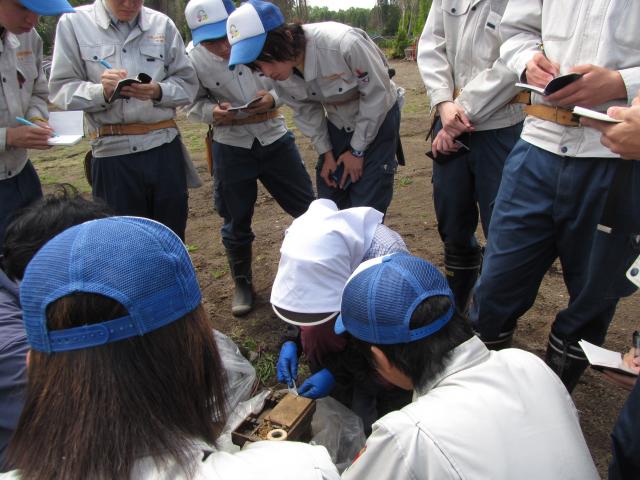 専門学校実習