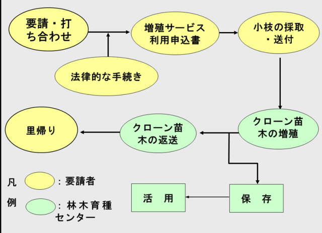 手続