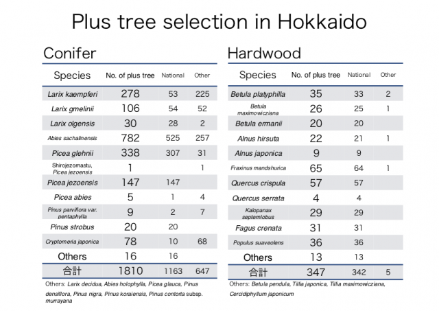 plustree