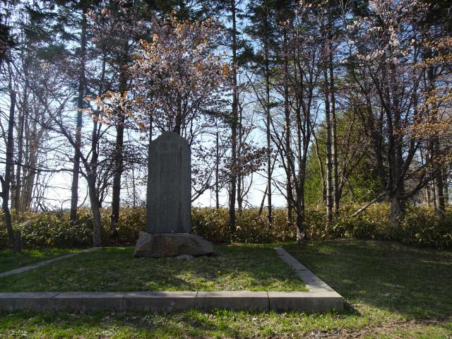 0430_ooyamazakura_2